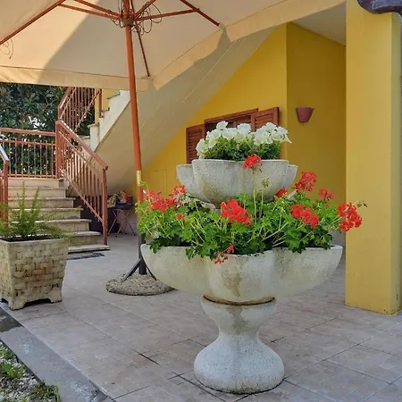 Magnolia - Primo Piano Holiday home